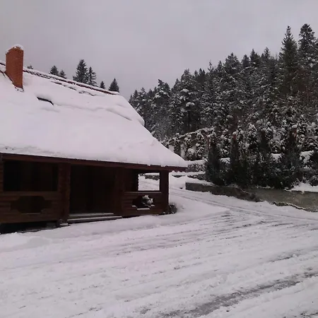 Maxim Holiday home *